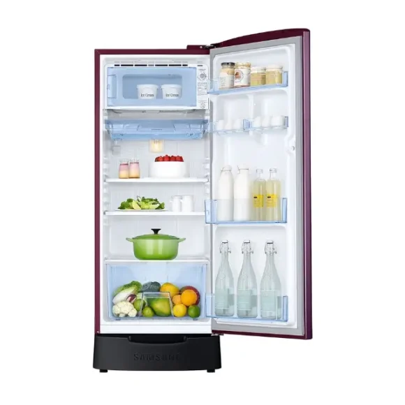 Samsung 183 L 4-Star Single Door Refrigerator (RR20D2825CR) Inside View