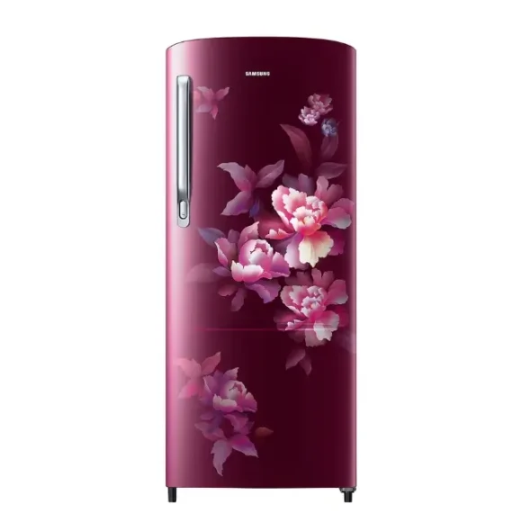 Samsung 183L 4 Star Direct Cool Single Door Refrigerator (RR20C2724HN)