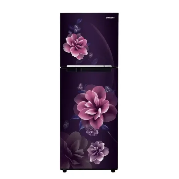 Samsung 236L Double Door Refrigerator (RT28C3022CR) Camelia Purple
